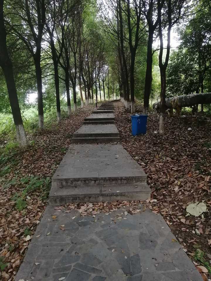 在三峡大学就读是怎样一番体验?