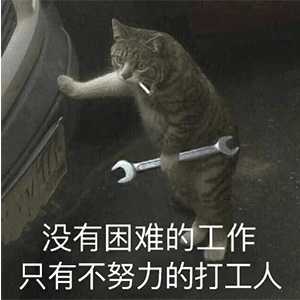 有没有猫咪版的打工人猫表情包