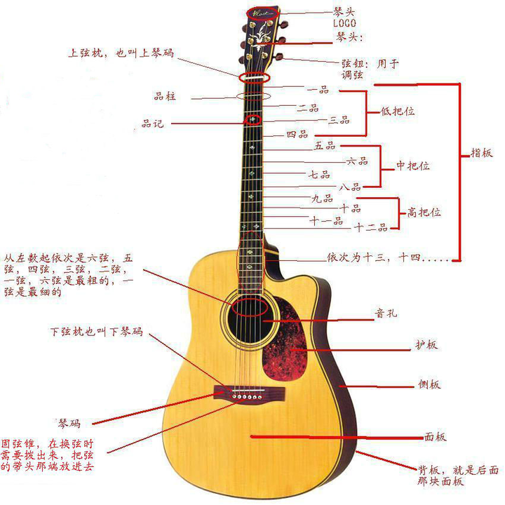 吉他主要由三部分组成:琴头,琴颈,琴箱,每个部分由不同构造组成.