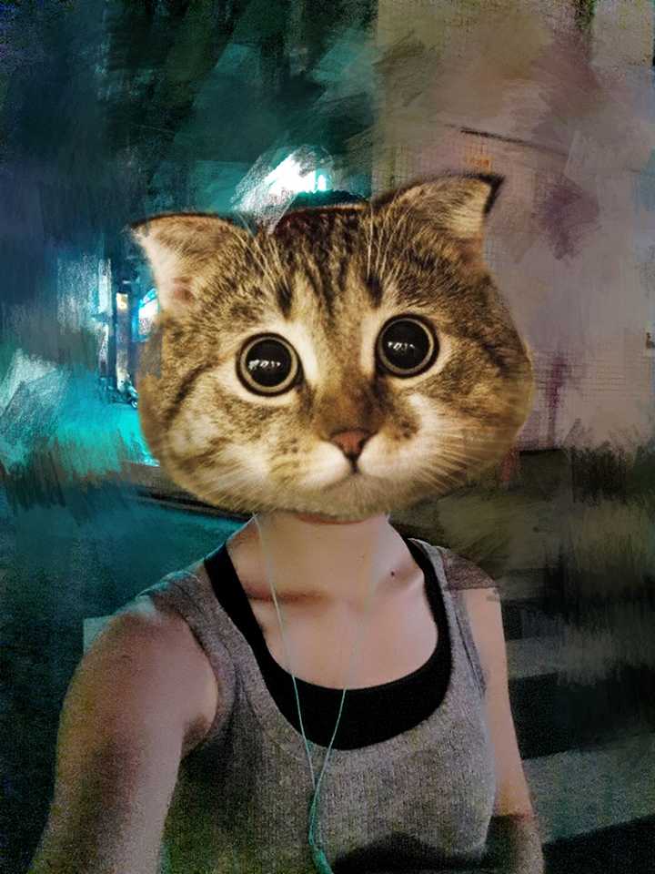 壁纸 动物 猫 猫咪 小猫 桌面 720_960 竖版 竖屏 手机