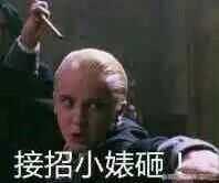 有人分享一下拽哥德拉科马尔福的图片,表情包,壁纸吗?