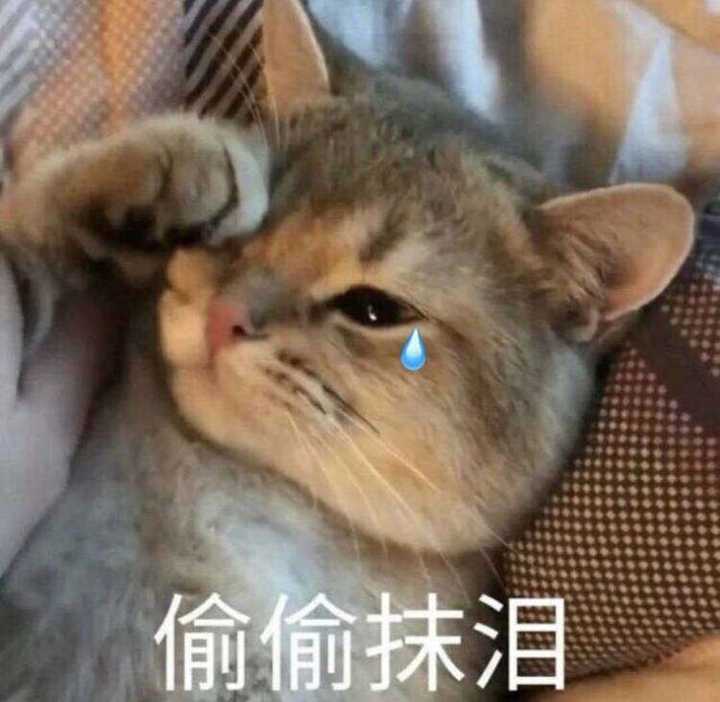 我自己就觉得我这人就是比较玻璃心就是作,不服你咬我啊.