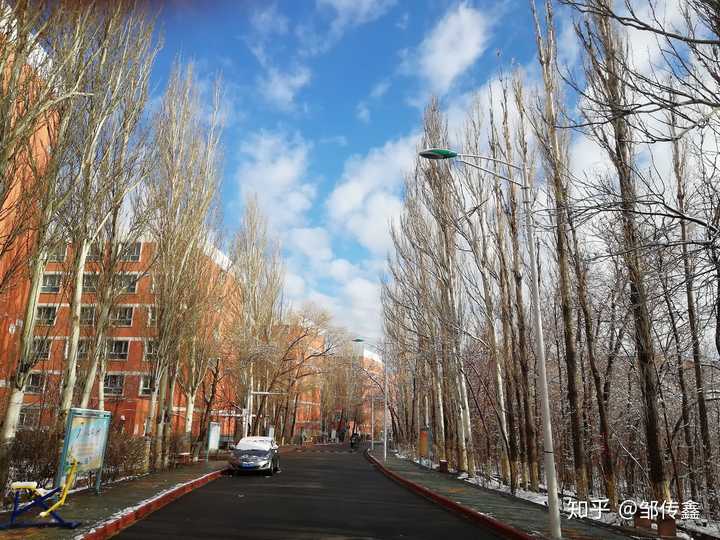 新疆大学有哪些值得争取的奖学金?