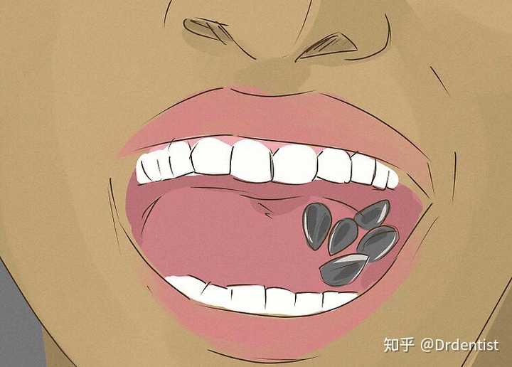 然后你估计可以吃上一会儿了,在一段时间内对其进行咀嚼.