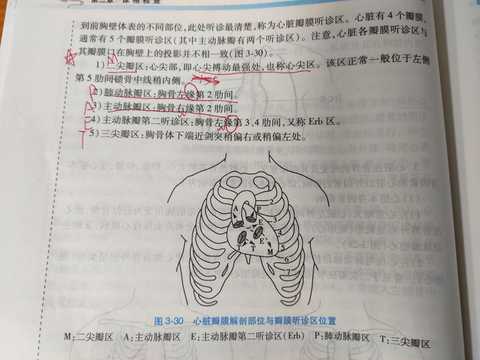 三尖瓣是剑突偏右或稍偏左处 心瓣膜位置的体表投影和心瓣膜的听诊区