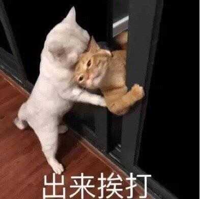 你们有哪些令人捧腹大笑的表情包?