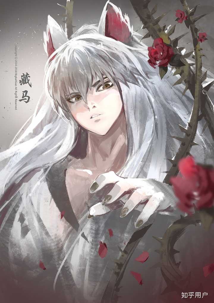 私心,藏马是我永远的二次元男神