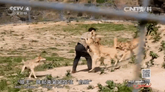 638_357gif 动态图 动图