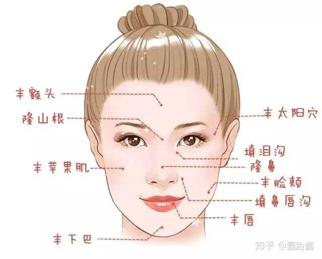 除了以上,自体脂肪还可用于以下几个面部部位