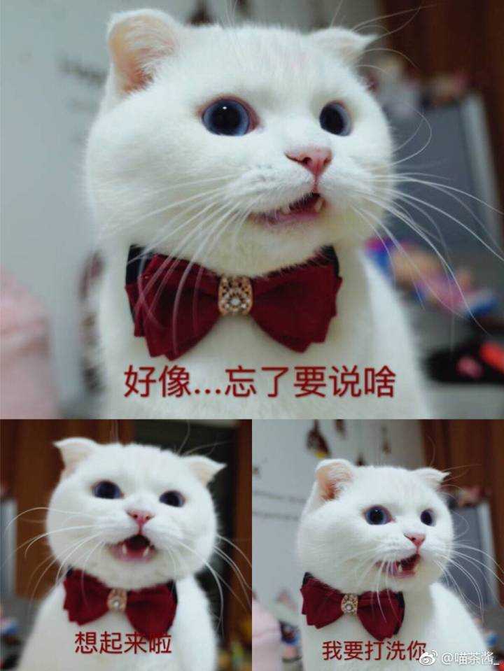 第二天,我跟她说,她竟然什么都不记得,然后笑她自己笑了一上午