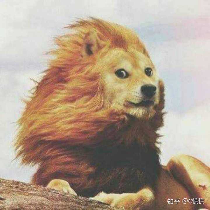 不经常换头像的人非常死板吗?