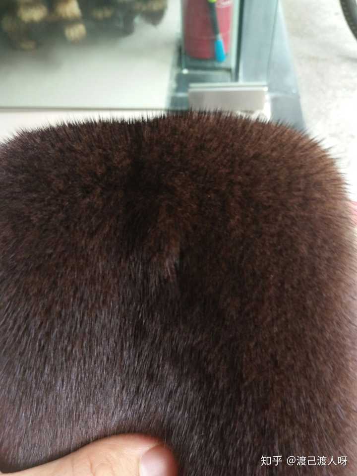 新买的貂皮大衣毛针有修剪的痕迹是正常的嘛?两个肩膀
