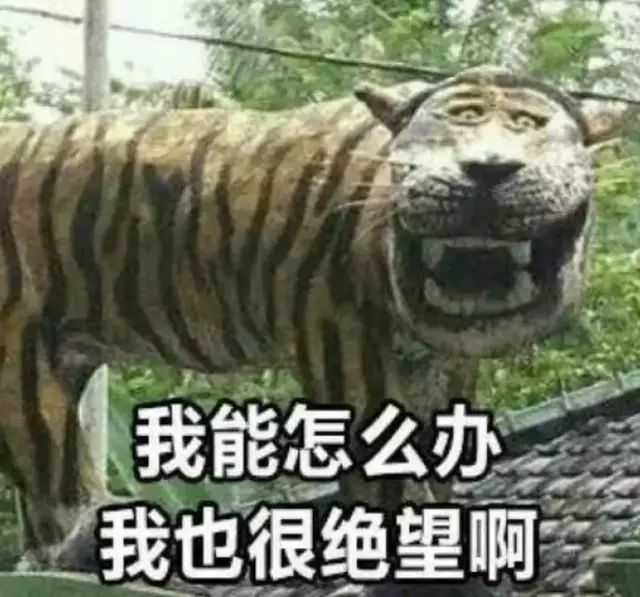 你们有那些既沙雕又实用的表情包?