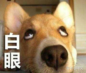 我只是一个单身狗,我也想有人一起用情侣头像啊.