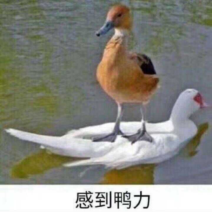 不要堵在心里,快速排解掉才会迎来新的好心情.
