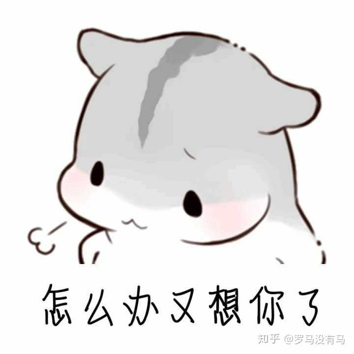 有没什么特别可爱的表情包分享呀?
