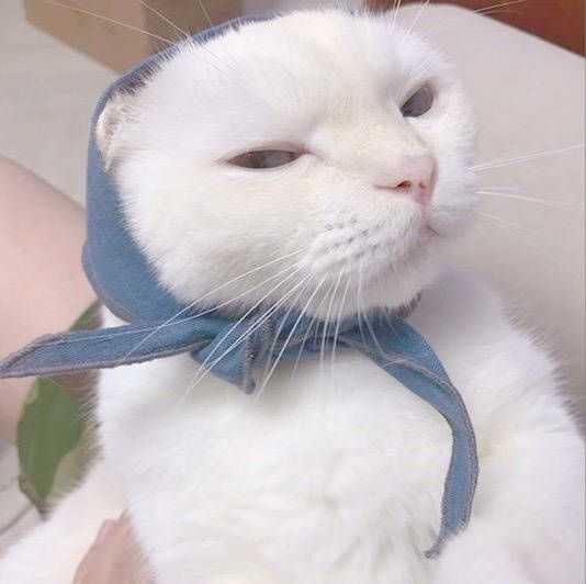 人是怎么废掉的