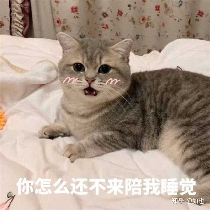 有没有可以跟情侣撒娇的表情包?