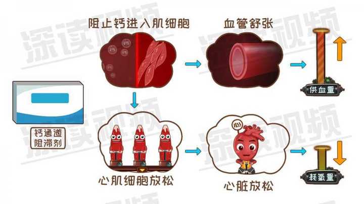 第四类,血管紧张素转换酶抑制剂(acei)或血管紧张素Ⅱ受体阻滞剂(arb)