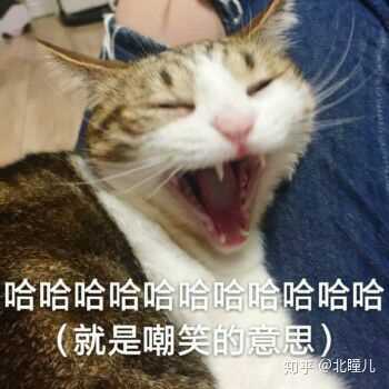 有什么幸灾乐祸的表情包?