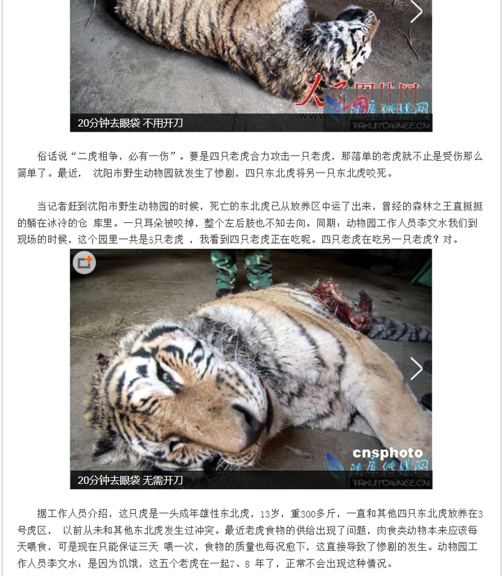 如何看待宁波动物园老虎咬人导致老虎被击毙事件