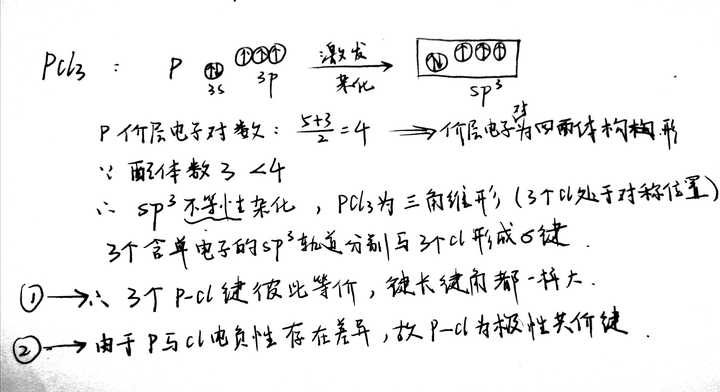 p-cl属于极性共价键