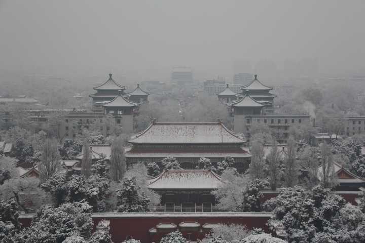 2020年11月21日北京初雪来了你出门看雪了吗