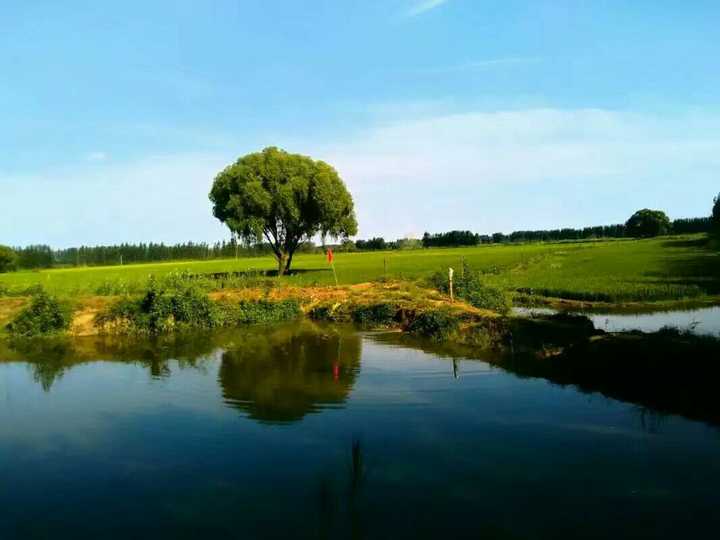 随手拍来着雄县马蹄湾村