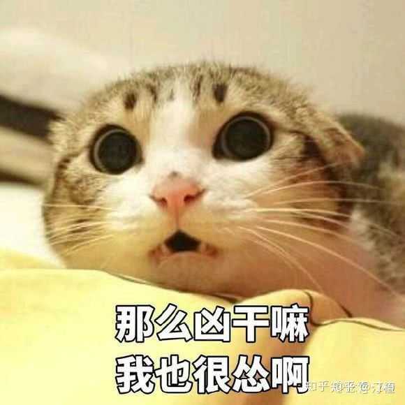 有没有很难过的表情包?