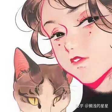 有没有那种抱着很凶的猫的动漫头像?