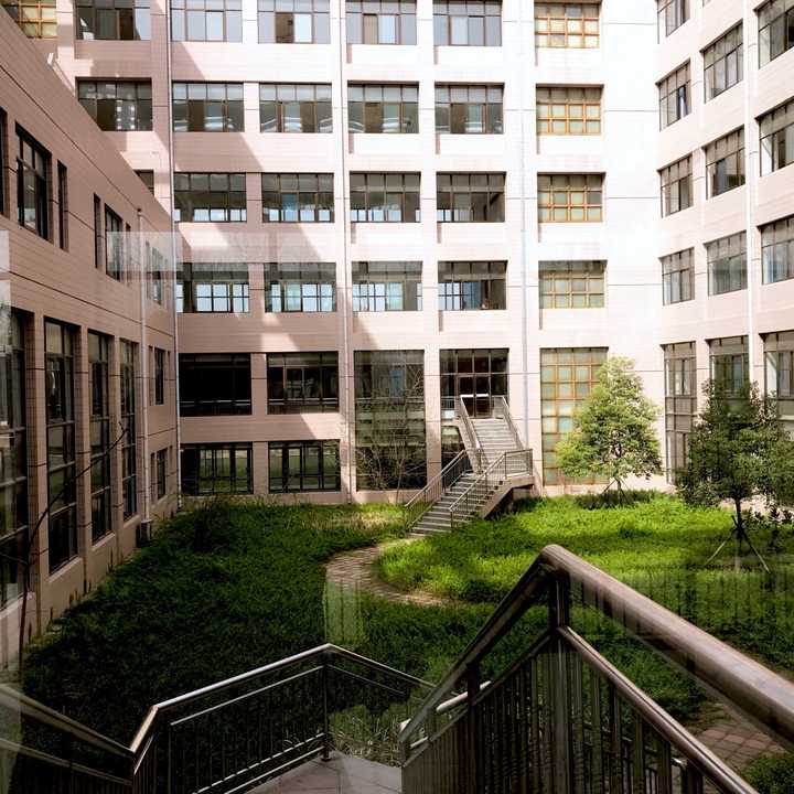 在聊城大学就读是怎样一种体验?