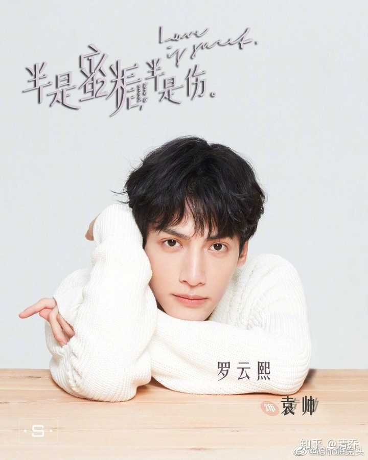 如何看待罗云熙出演《半是蜜糖半是伤》的男主袁帅?