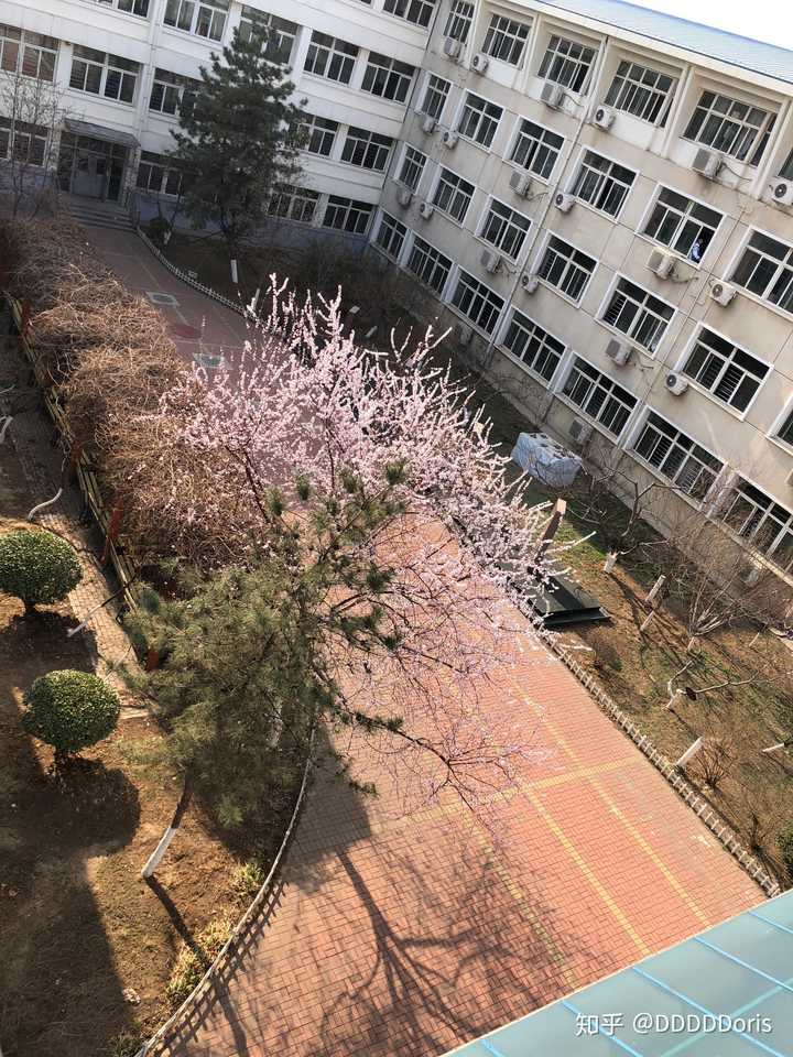 在天津市第四十七中学上学是一种什么样的体验?