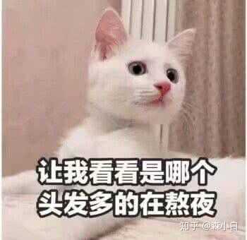有没有关于睡觉熬夜表情包呀?