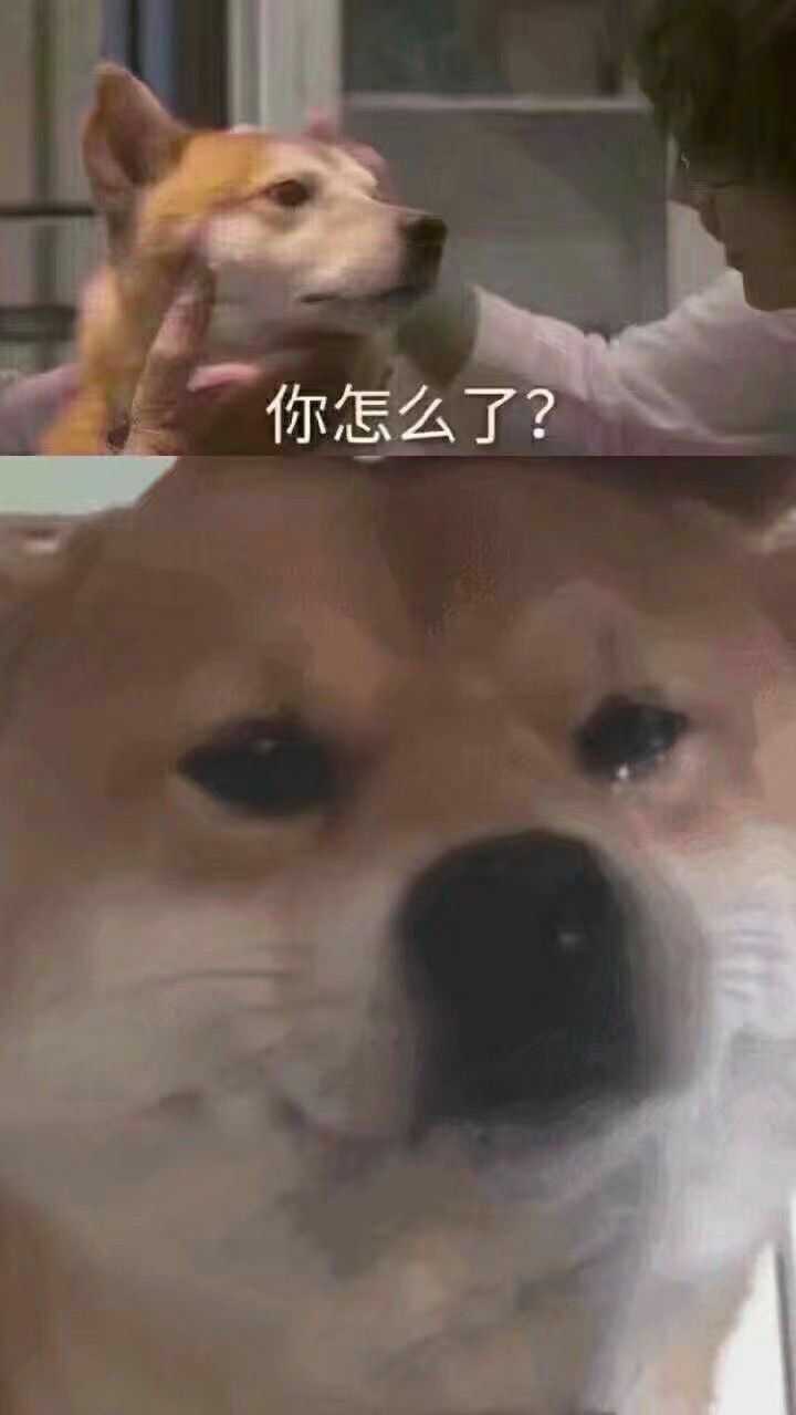 有没有无字的表情包原图?