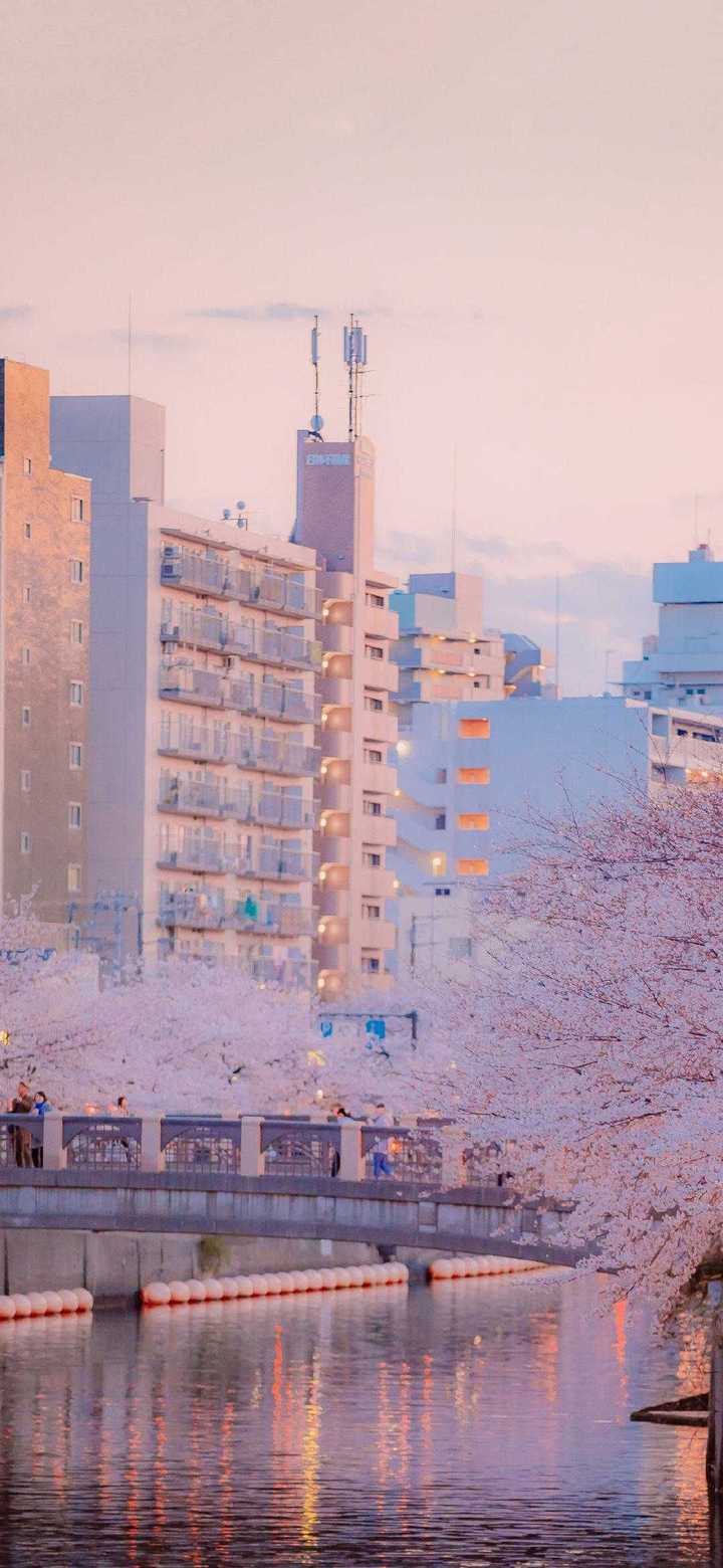 有哪些以日本的街道或者风景为背景的手机壁纸?