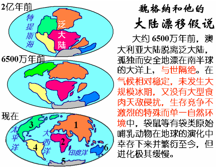 1912年,魏格纳提出大陆漂移.