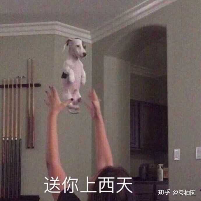 d)∠)_ 好的嘞嘻嘻,接下来请大家扶稳自己的头,预防万一笑到满地找头