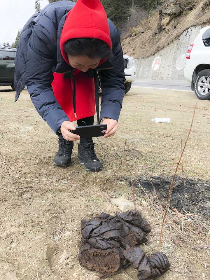 你有哪些觉得拍的很有味道的照片?