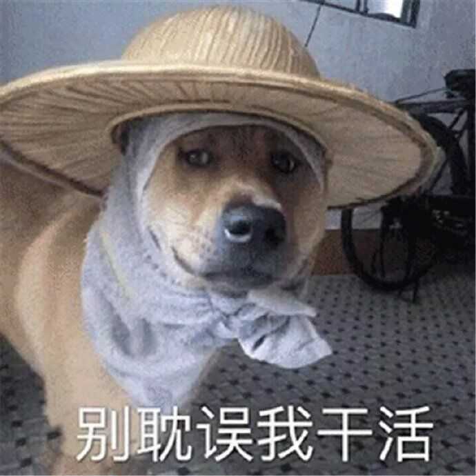 有什么一看就能把人逗笑的表情包?