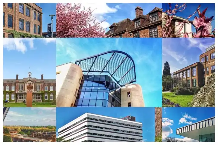 赫尔大学