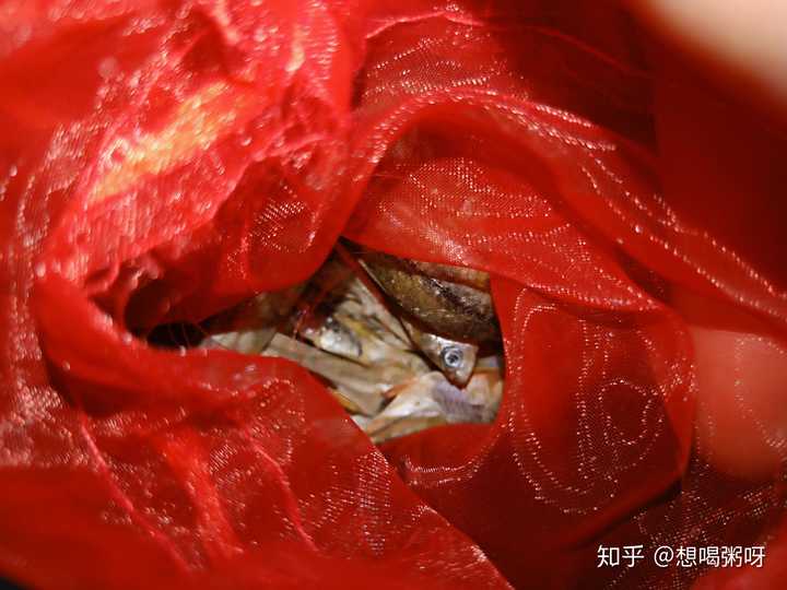这是红色的装喜糖的纱袋,有点吓人,那个小鱼绝望的死鱼眼配上红色