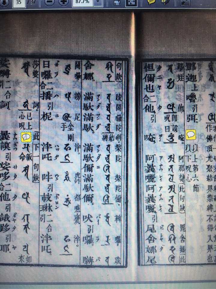 有一本《楞严咒会译》,是唐不空法师翻译的,把楞严咒每句话都翻译成