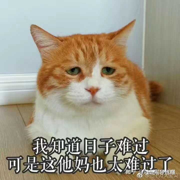 那我还是不要说话了,一个字也不要说了.