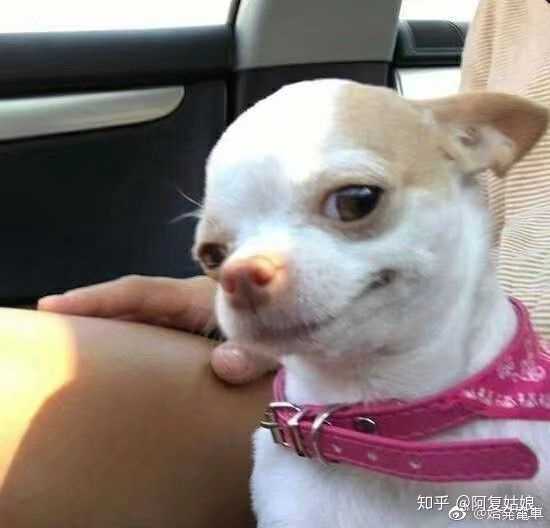 老哥们你们有哪些让人笑到窒息的图片呢?