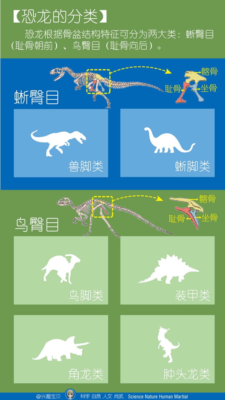 恐龙的种类有哪些?