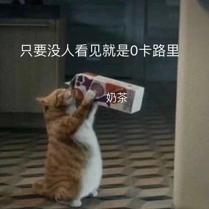 吨吨吨!