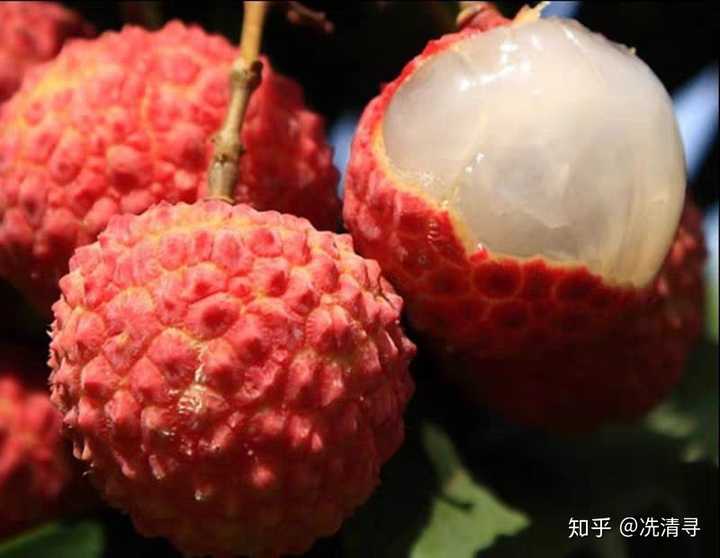 推荐下我故乡—广西的部分的水果,自我记事起,我的故乡一年四季都有