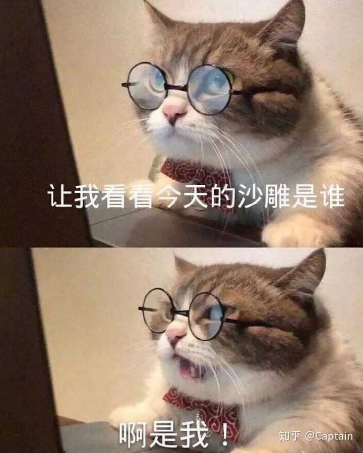 为什么年轻人这么热爱"沙雕文化"?