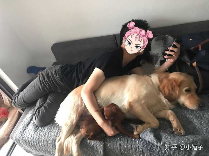 最后惯例附几张图吧,可能我老公对狗是真爱,对我不是,所以才对狗子们